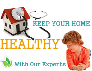Green Carpet Cleaning