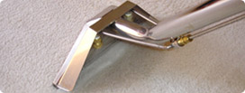 Steam Cleaning Carpets